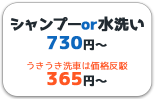 シャンプー洗車