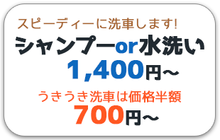 シャンプー洗車