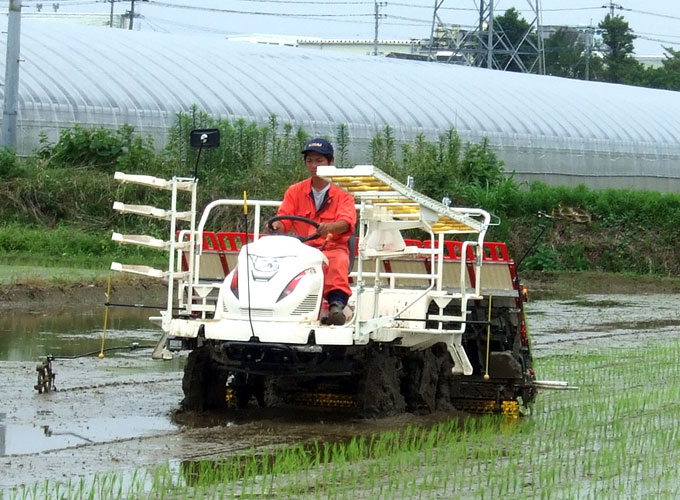 田植えが始まります