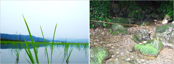 妙見のつつみ近くの山の湧水