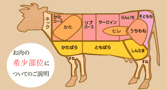 お肉の希少部位についての説明